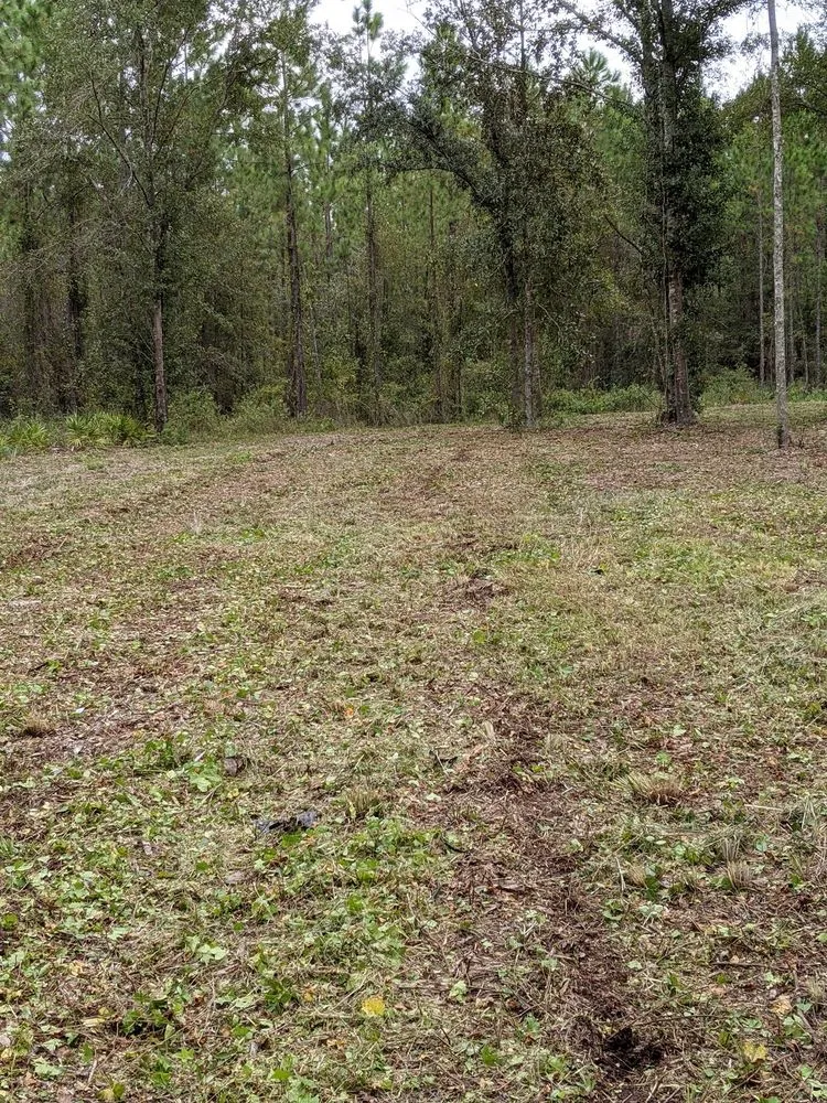 Affordable landscape design in Nahunta, GA - Paul's Tractor Services