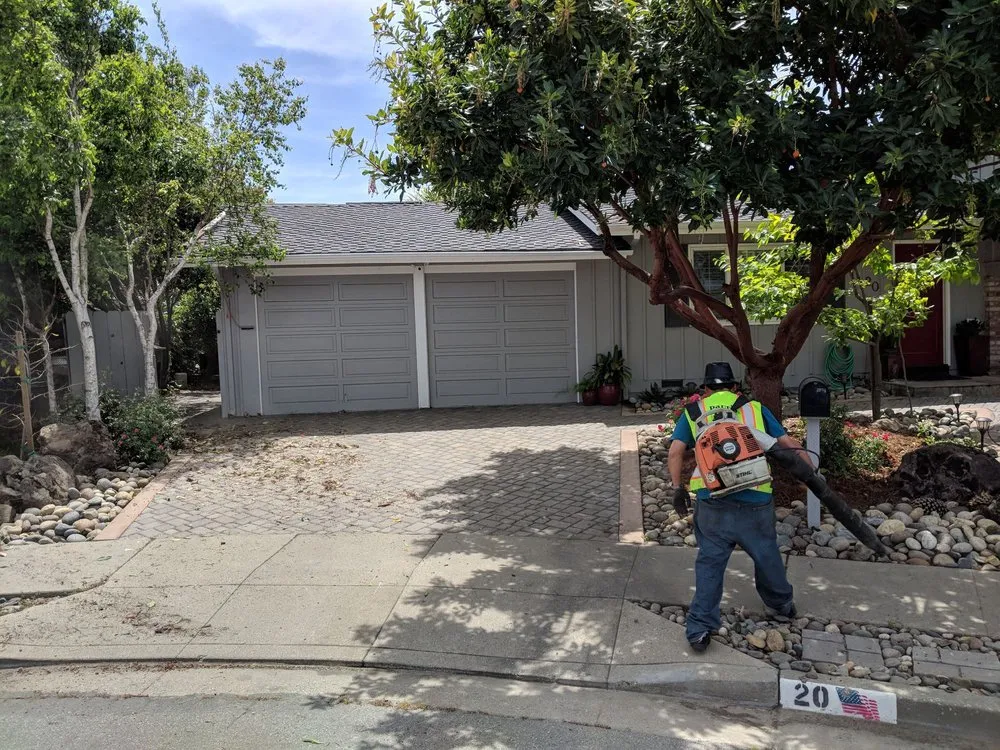 Trusted residential landscaping experts serving Salinas, CA - Paul's Tree and Landscaping Service