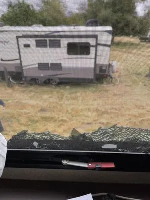 Paul's Tree and Landscaping Service Logo