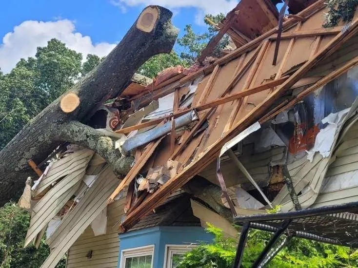 Custom landscape design with custom design across Moorestown, NJ - Paul's Tree Service