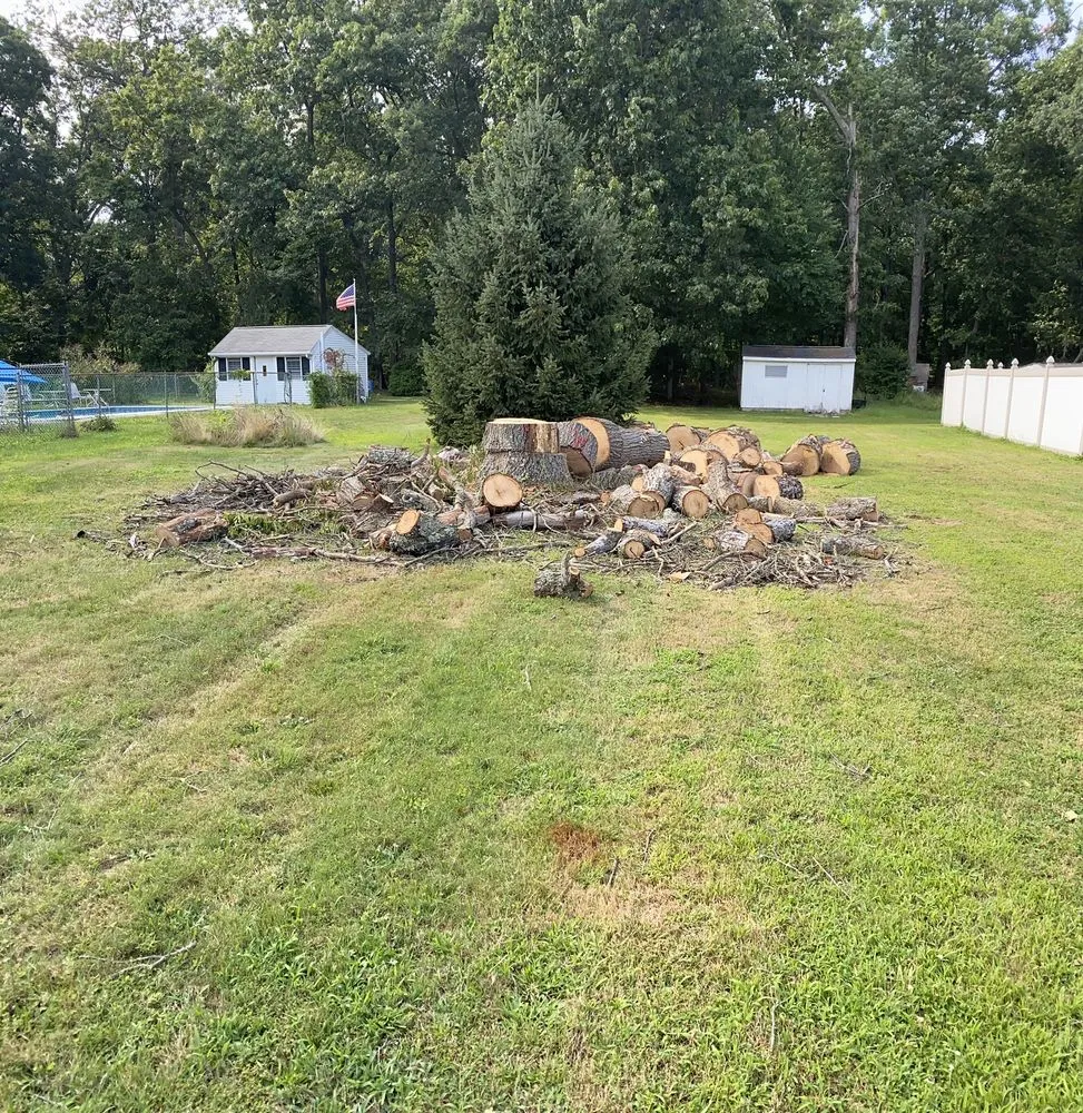 Expert yard maintenance in Monroe Township, NJ by Paulson Tree and Fence Company