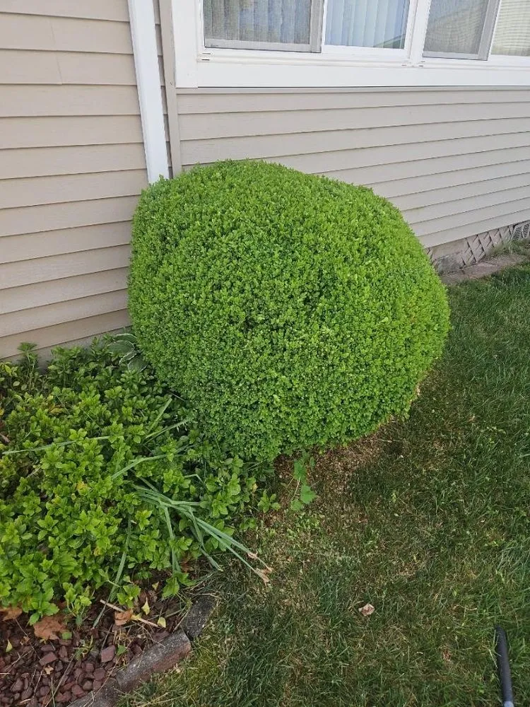 Trusted landscape installation for outdoor upgrades across Beachwood, NJ - Pavao Landscaping