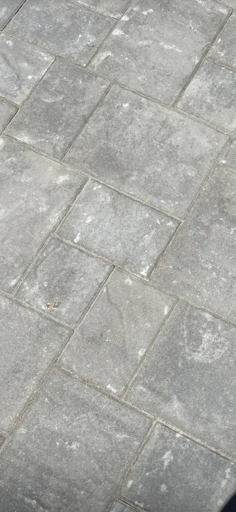 Reliable lawn care service in Pittsburg, CA by Paver & Concrete Experts