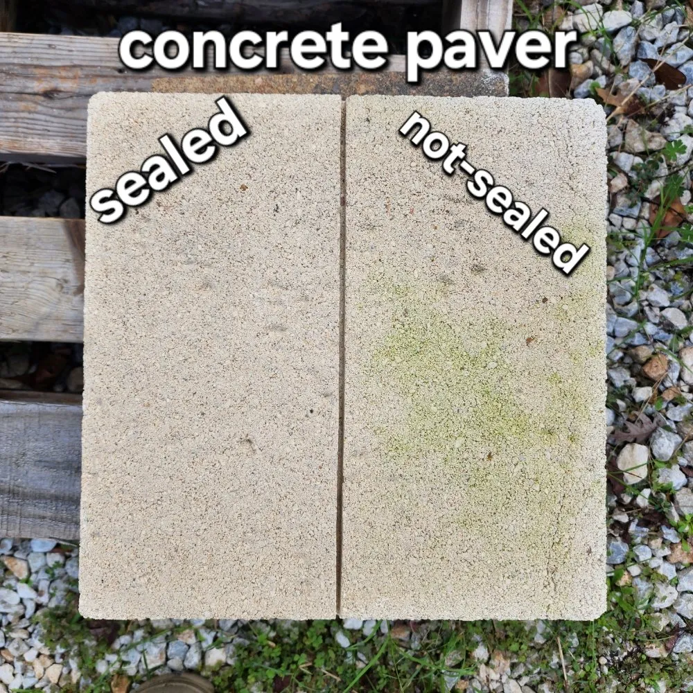 Trusted yard maintenance in Montgomery, TX - Paver Makeover