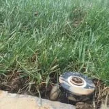 Reliable landscape installation in Carmichael, CA by Paver Masters & Landscape