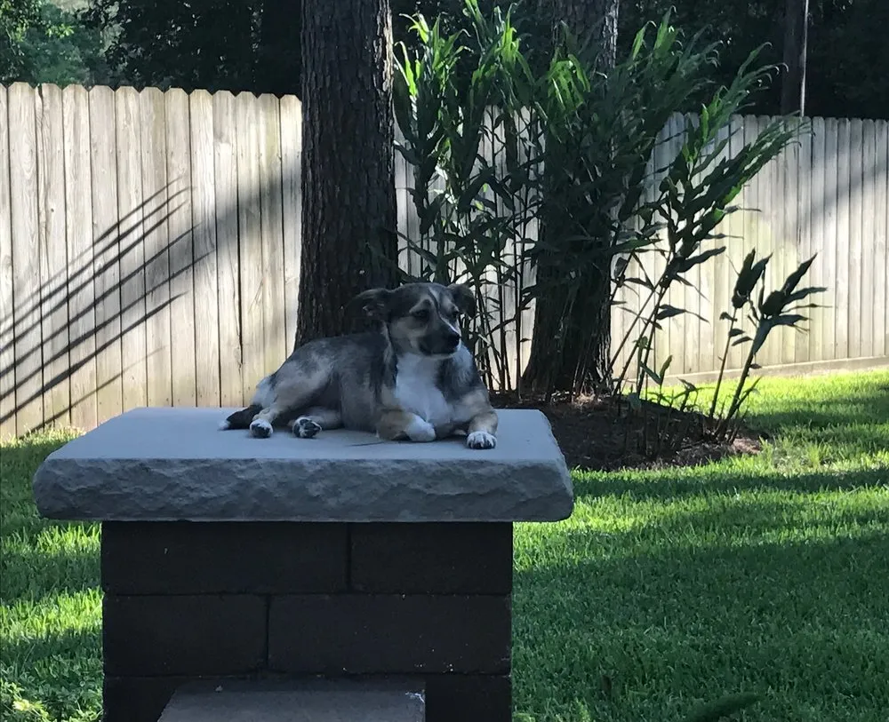 Local landscape installation experts serving Houston, TX - Paverock