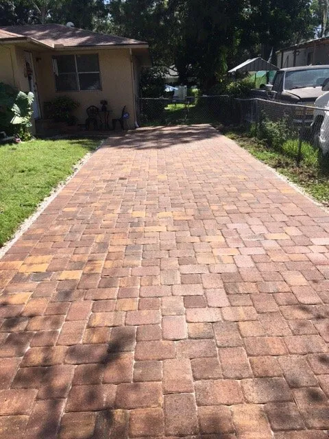 Affordable landscaping services experts serving Sarasota, FL - Pavers In Paradise