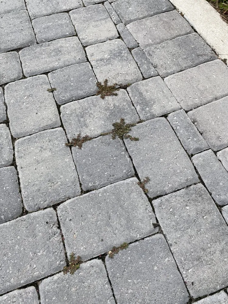 Expert garden landscaping in Charleston, SC by PaverScape