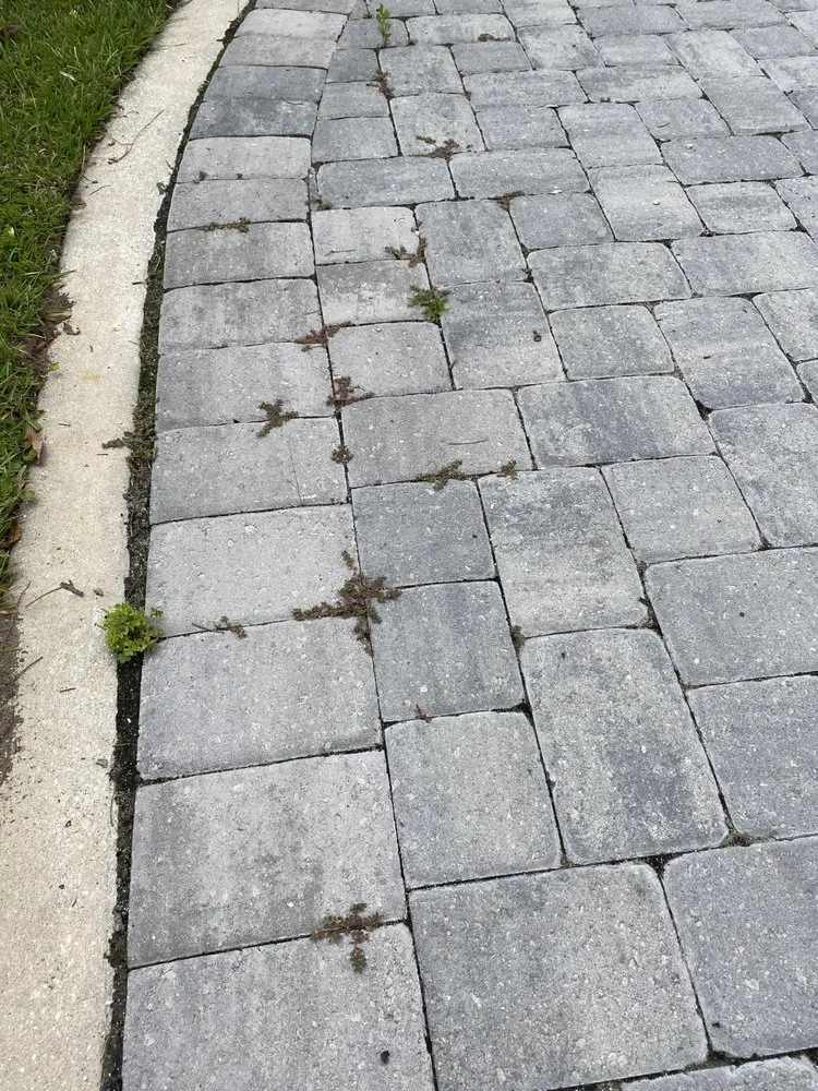 Affordable yard cleanup service in Charleston, SC by PaverScape