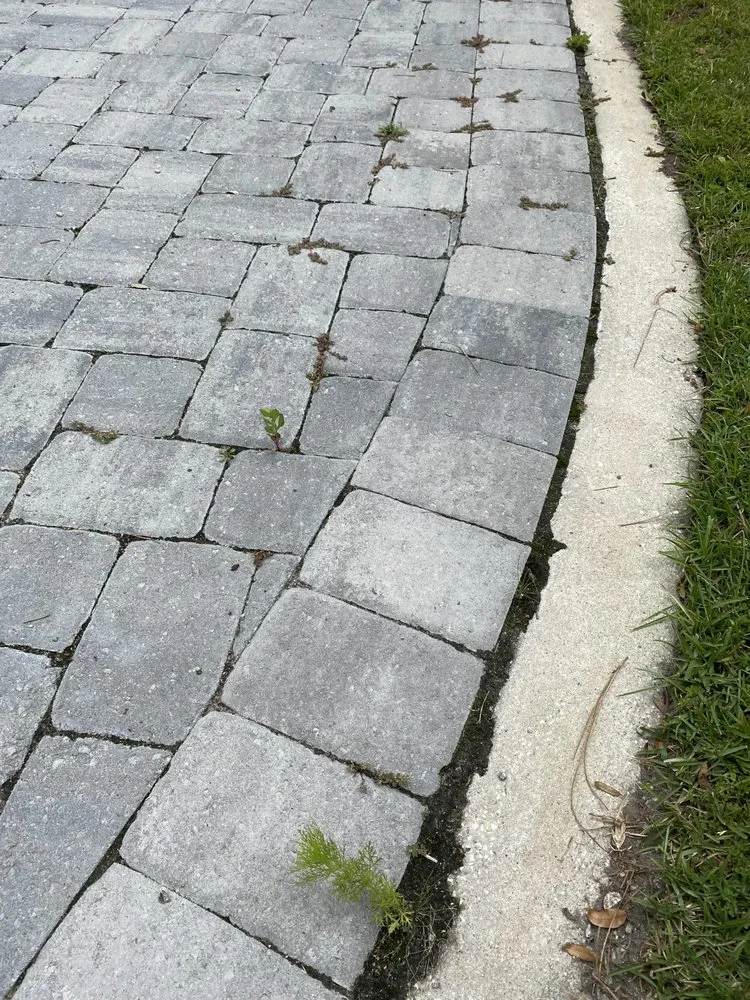 Top-rated landscaping services in Charleston, SC by PaverScape