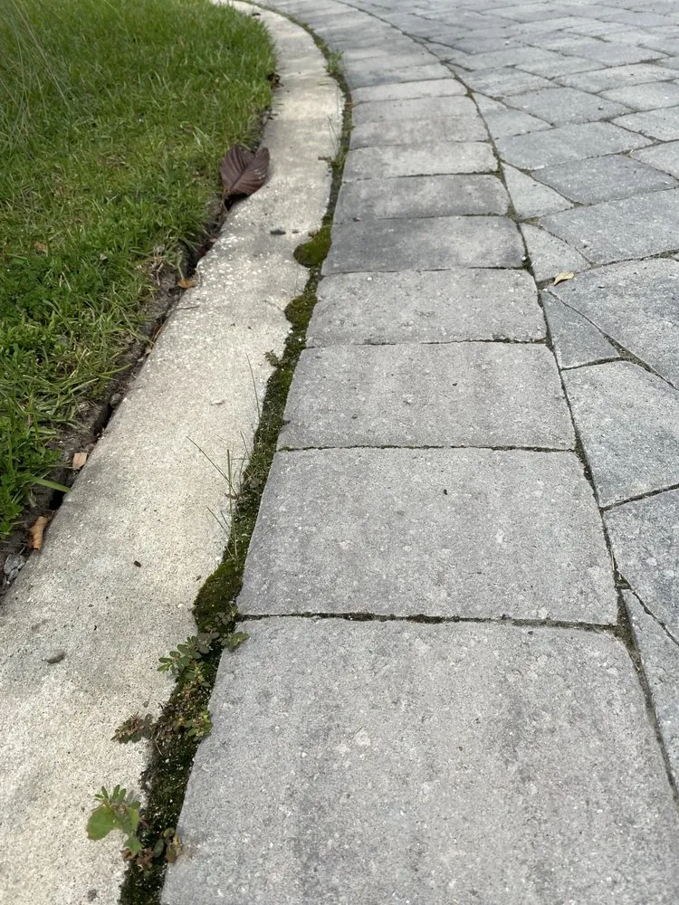 Affordable landscape installation with custom design in Charleston, SC by PaverScape