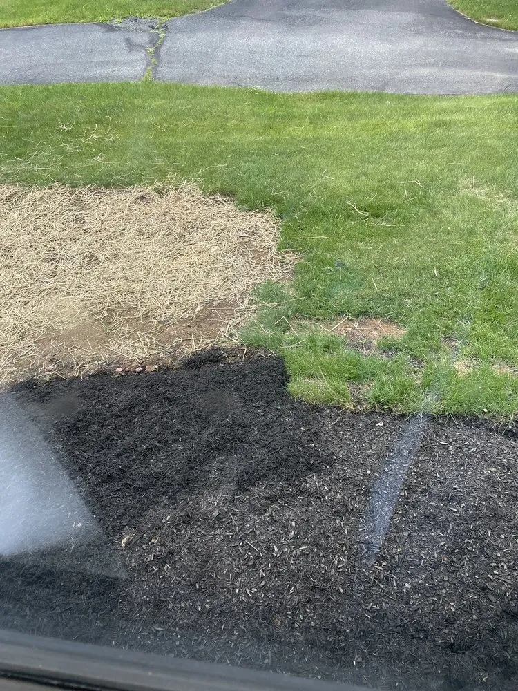 Reliable yard cleanup service in Zionsville, PA by Paverscape