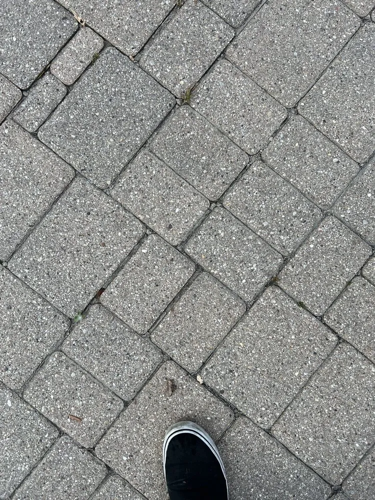 Top-rated yard cleanup service in Des Plaines, IL - Pavestone Brick Paving