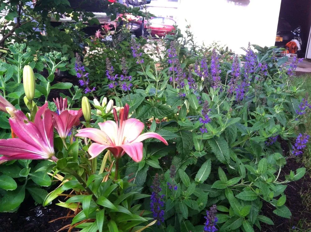 Expert lawn mowing service for outdoor upgrades in Glenville, NY by Pavilion Landscape Management