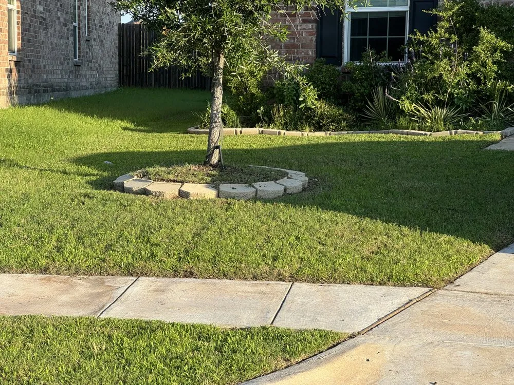 Reliable lawn care service in Fate, TX - Paw Lawncare