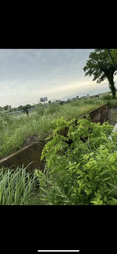 Expert lawn mowing service experts serving Fate, TX - Paw Lawncare