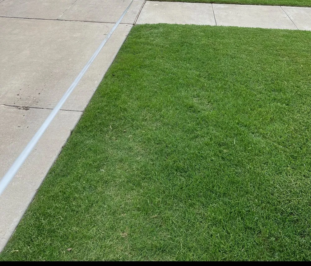 Local landscape installation with custom design in Fate, TX by Paw Lawncare