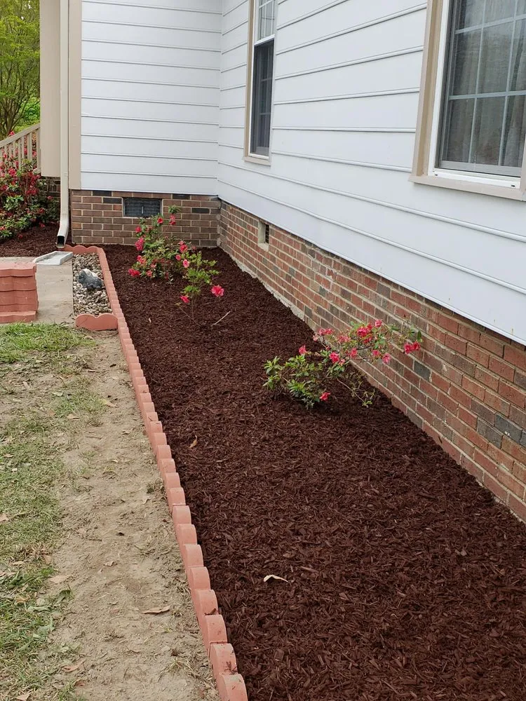 Top-rated yard cleanup service in Youngsville, NC - Paw Paws Landscaping and Lawn Services