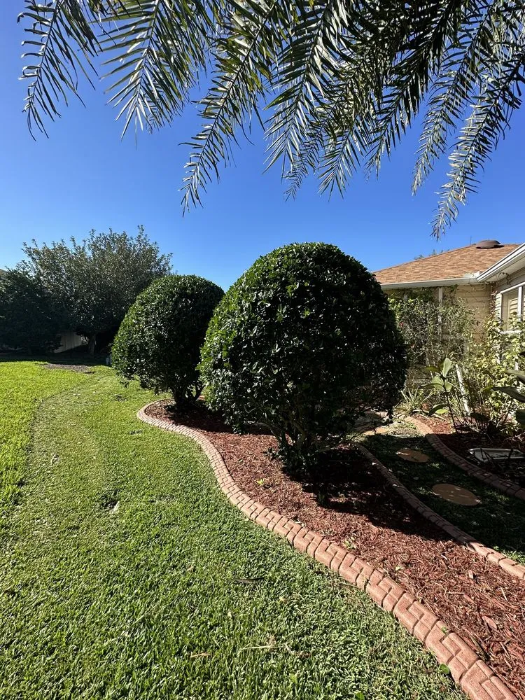 Top-rated lawn mowing service in Fruitland Park, FL by PAX Premium Lawn Care and Tree Service