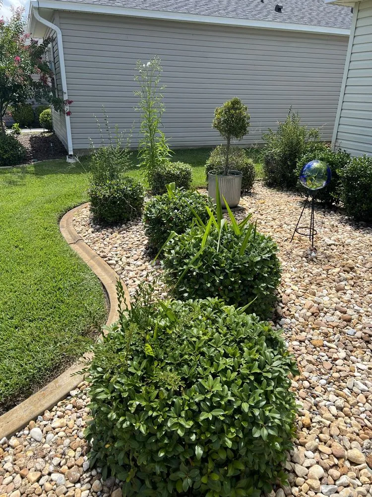 Affordable landscape installation for year-round maintenance in Fruitland Park, FL by PAX Premium Lawn Care and Tree Service