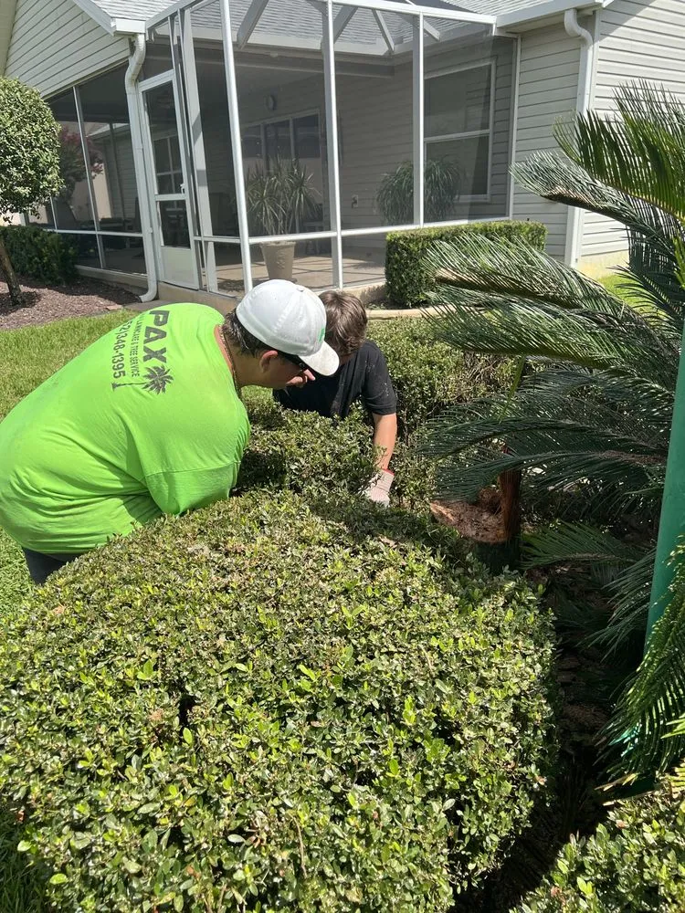 Trusted garden landscaping for homes across Fruitland Park, FL - PAX Premium Lawn Care and Tree Service