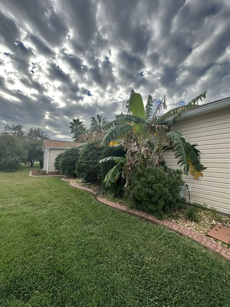 Professional lawn mowing service for year-round maintenance across Fruitland Park, FL - PAX Premium Lawn Care and Tree Service