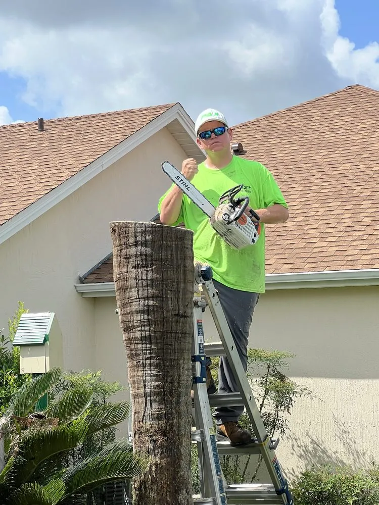 Top-rated yard maintenance experts serving Fruitland Park, FL - PAX Premium Lawn Care and Tree Service