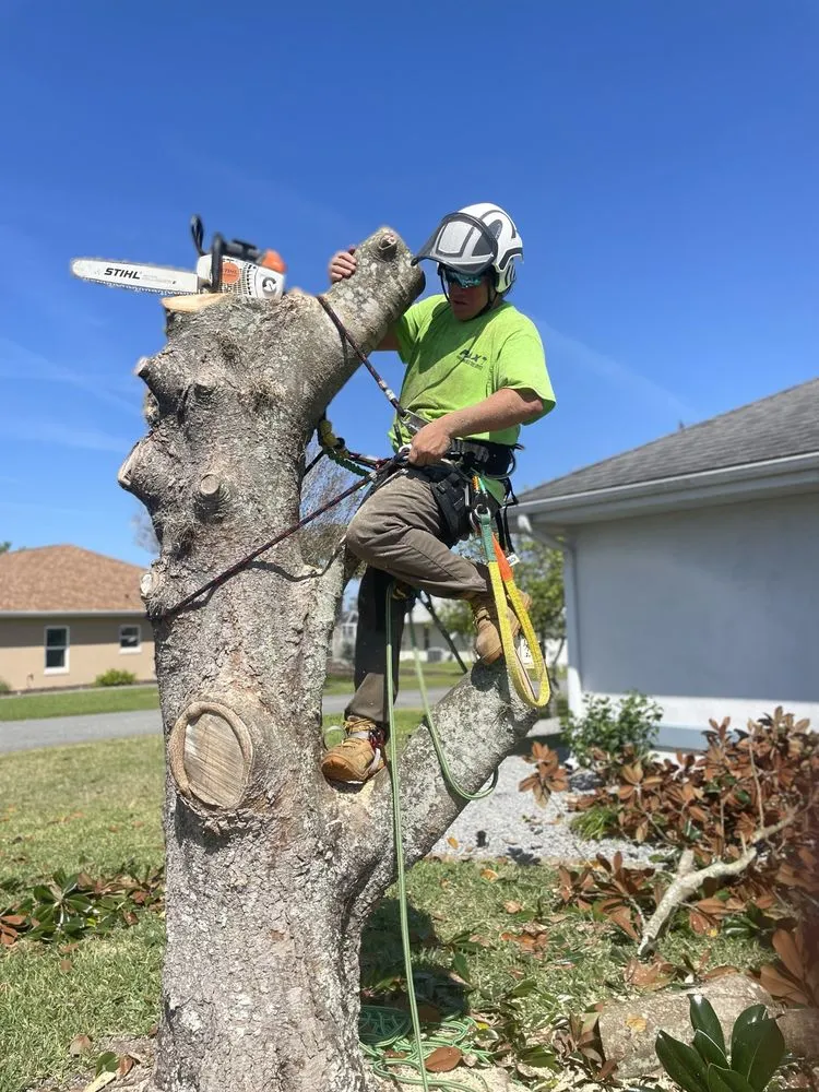 Reliable yard maintenance in Fruitland Park, FL - PAX Premium Lawn Care and Tree Service