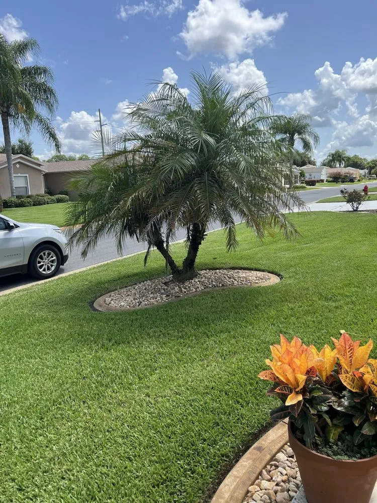 Reliable residential landscaping in Fruitland Park, FL by PAX Premium Lawn Care and Tree Service