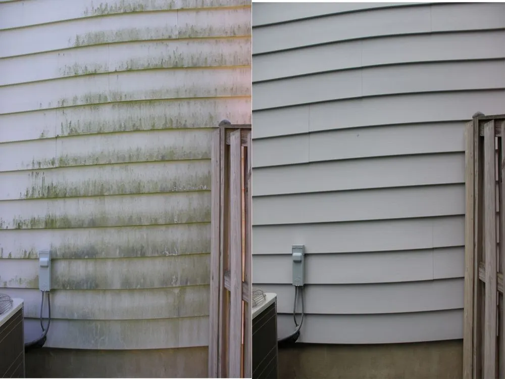 Trusted landscaping services in Morrisville, NC by Pax Pressure Washing