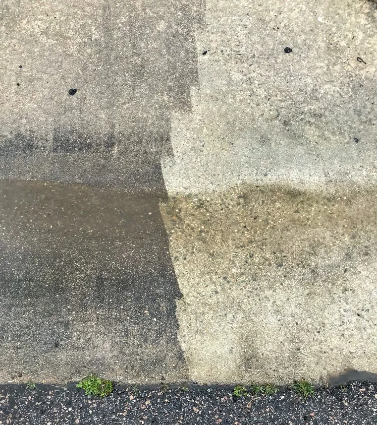 Expert yard cleanup service near you in Morrisville, NC by Pax Pressure Washing