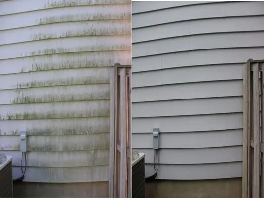 Pax Pressure Washing Logo