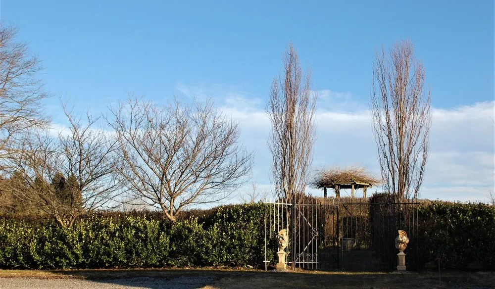 Professional outdoor landscaping experts serving New Hope, PA - Paxson Hill Farms