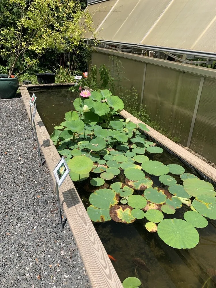 Professional yard cleanup service in New Hope, PA - Paxson Hill Farms