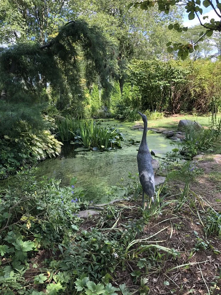 Top-rated yard cleanup service in New Hope, PA by Paxson Hill Farms