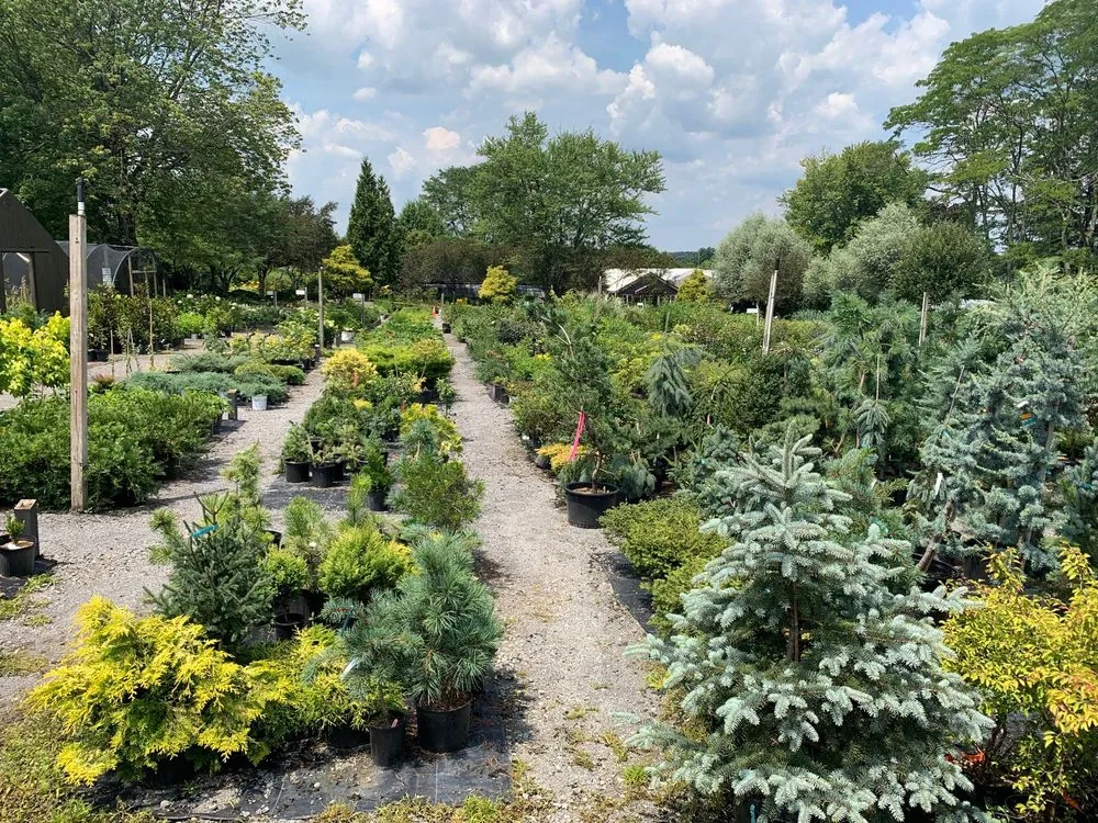 Reliable garden landscaping near you in New Hope, PA by Paxson Hill Farms