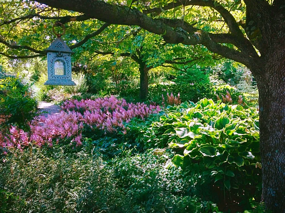 Professional landscape installation for outdoor upgrades across New Hope, PA - Paxson Hill Farms