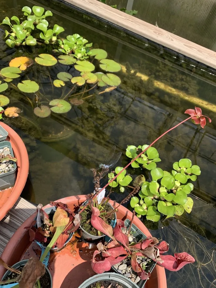 Expert landscaping services in New Hope, PA by Paxson Hill Farms