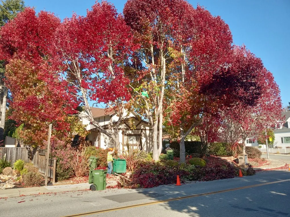 Custom landscape installation experts serving Monterey, CA - Paxton Landscaping & Masonry