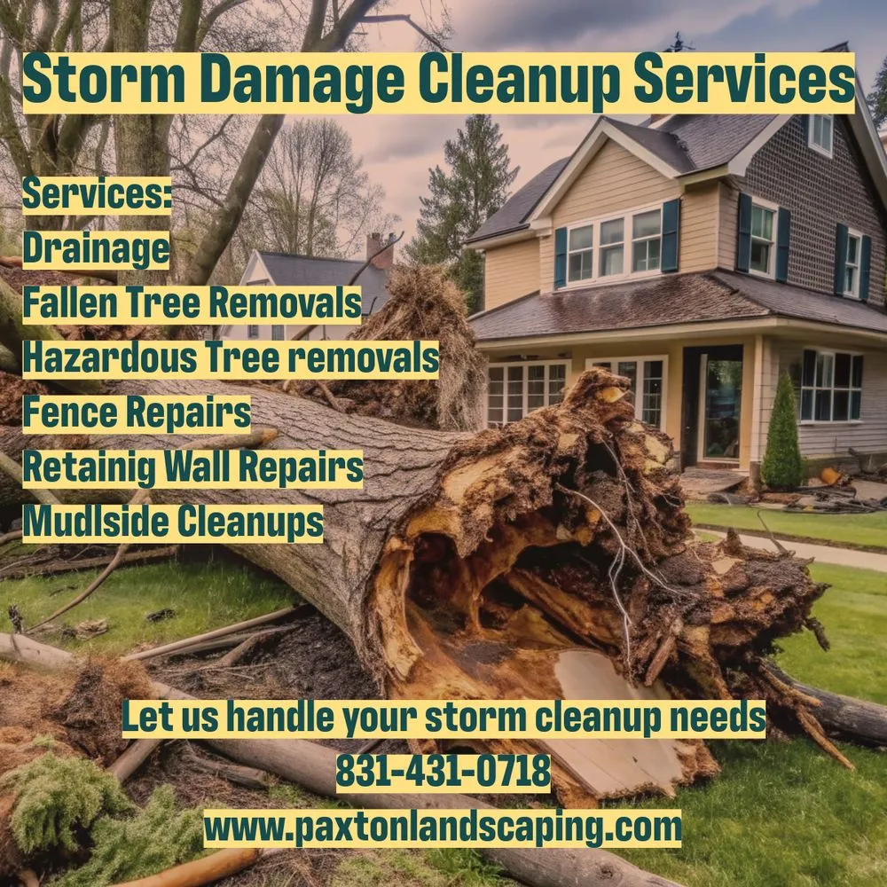 Expert landscape installation near you in Monterey, CA by Paxton Landscaping & Masonry