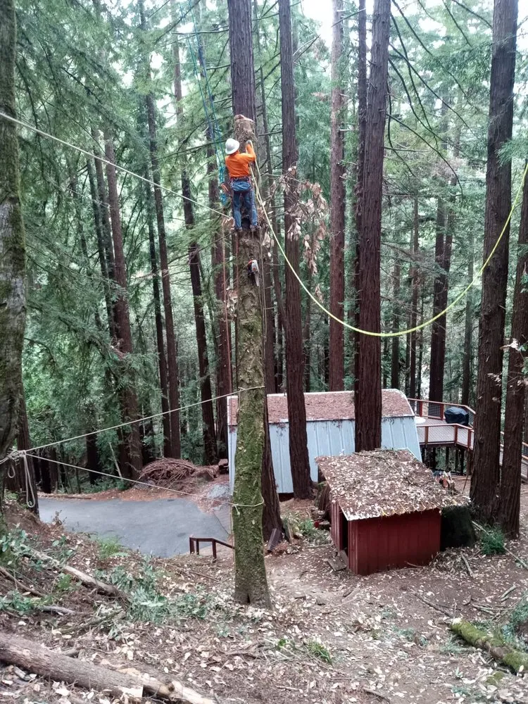 Affordable landscape installation experts serving Monterey, CA - Paxton Landscaping & Masonry