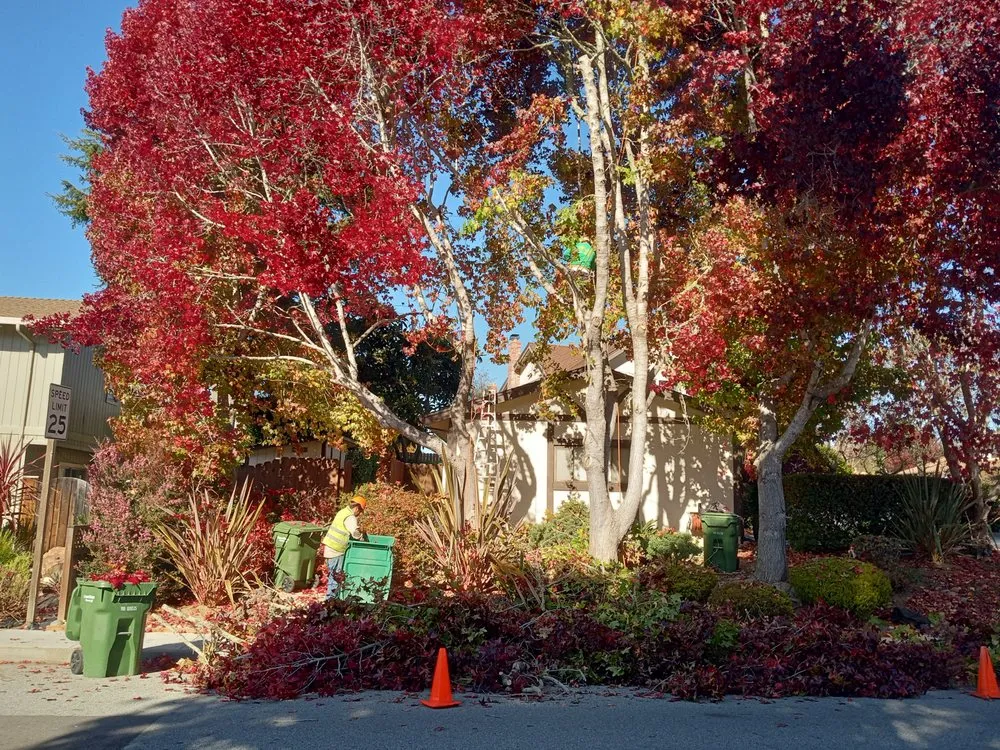 Professional landscape installation for homes in Monterey, CA by Paxton Landscaping & Masonry