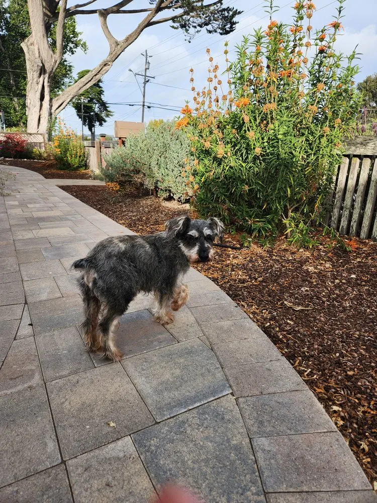 Top-rated garden landscaping for year-round maintenance in Paso Robles, CA by Paxton Landscaping & Masonry