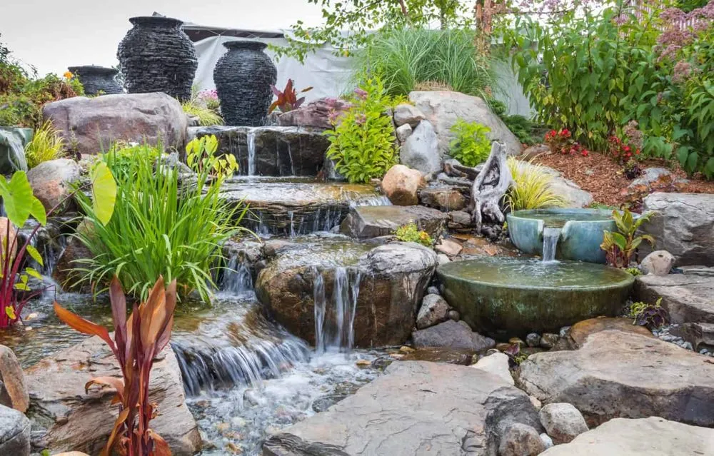 Local residential landscaping for year-round maintenance in Campbell, CA by Paxton Landscaping