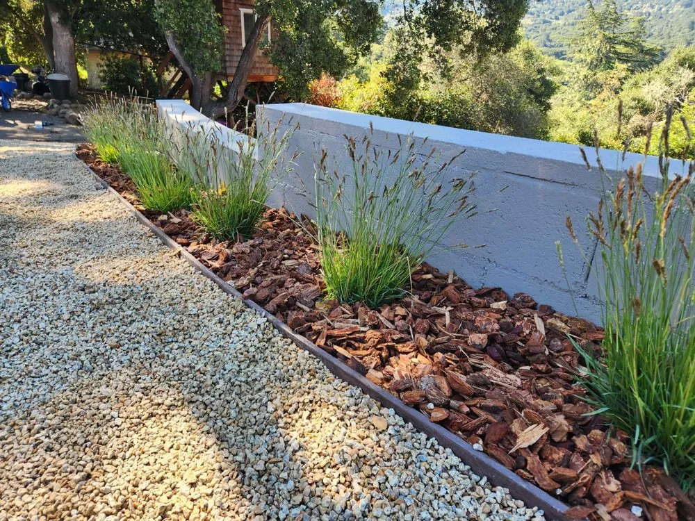 Expert yard maintenance in Campbell, CA - Paxton Landscaping