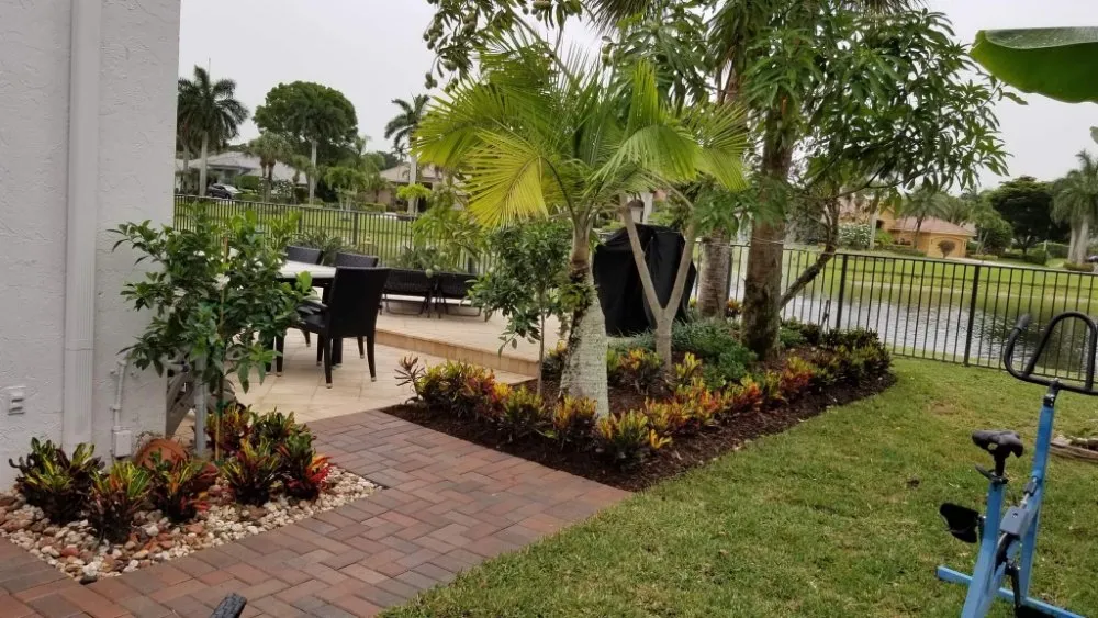 Expert lawn care service in Coral Springs, FL - Paxtor Landscaping & Lawn Maintenance