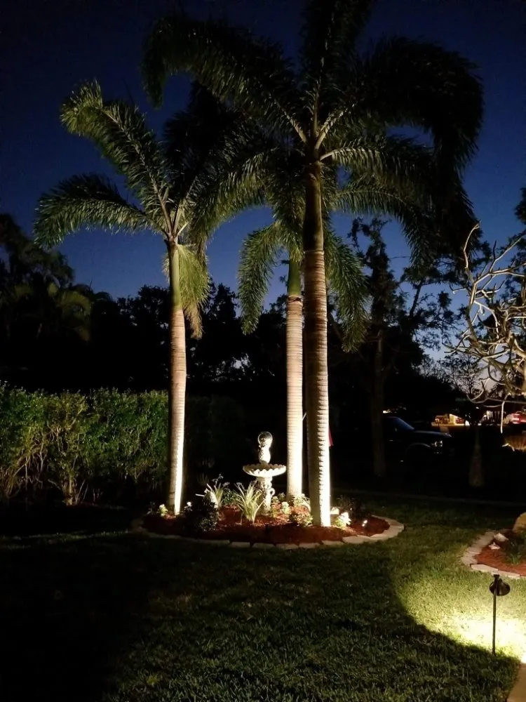 Expert landscaping services experts serving Coral Springs, FL - Paxtor Landscaping & Lawn Maintenance