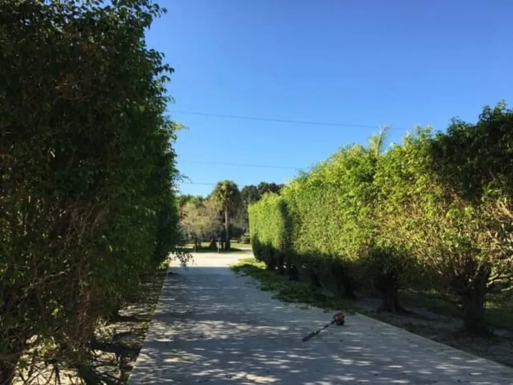 Affordable landscape installation in Coral Springs, FL - Paxtor Landscaping & Lawn Maintenance