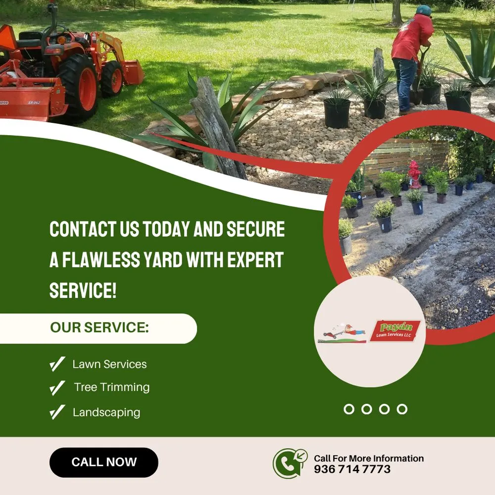 Professional lawn mowing service in Madisonville, TX by Payan Lawn Services