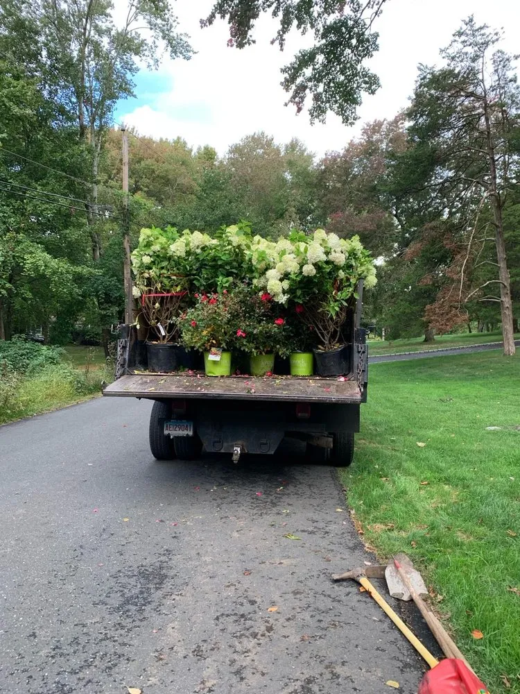 Affordable lawn mowing service in Stamford, CT by Payes Landscaping And Service